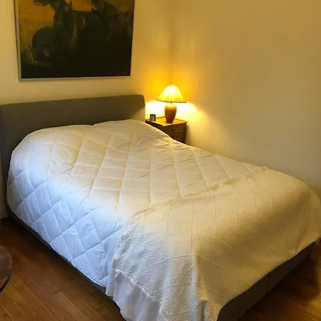 T4 121 M2 Georges 1er Centre-ville 3 *